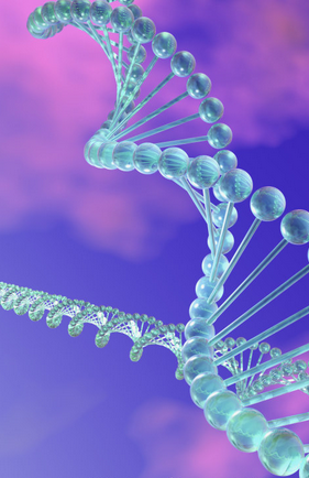 Chem Commun：开发出可进行靶向DNA分析的新型遗传诊断技术