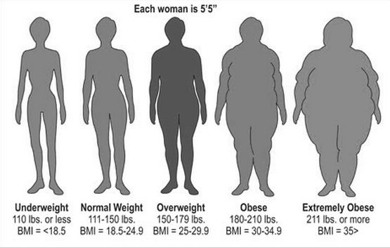 女性肥胖时间越长患癌风险越高