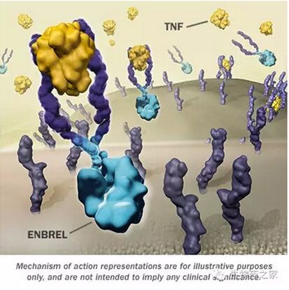 Enbrel生物类似药Erelzi获FDA批准上市