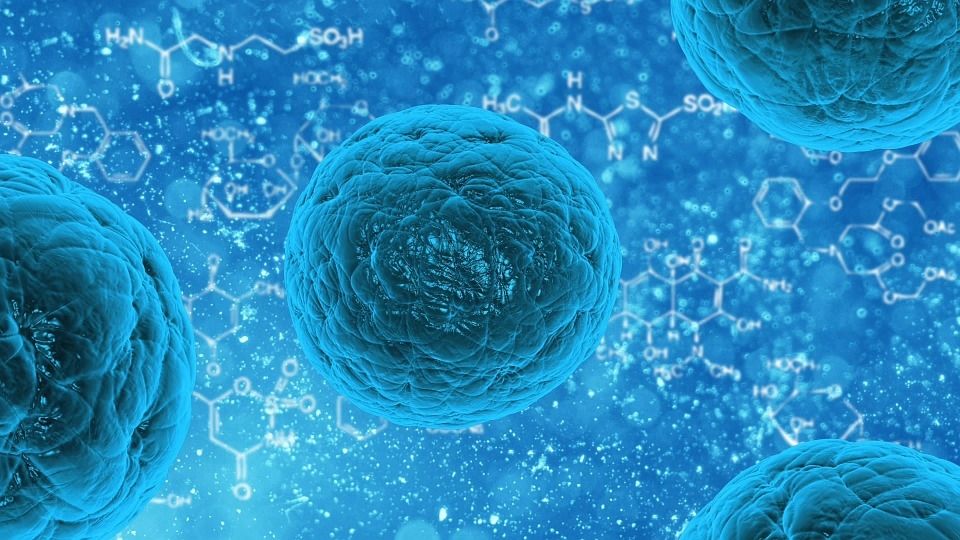 再生医疗公司biocardia买壳上市,继续推进骨髓细胞治疗心脏衰竭的iii