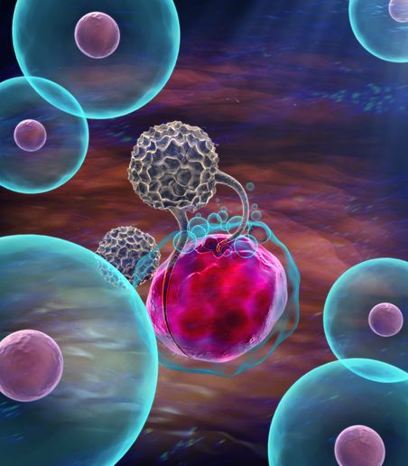 devel cell:活性氧自由基能够开启免疫细胞活性 使其杀灭外来病原体