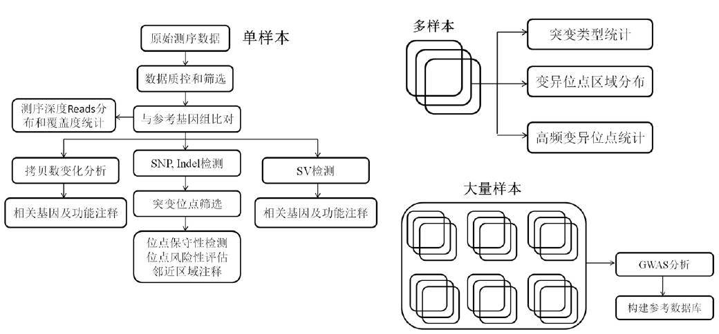 基因测序如何催动精准医疗迅猛发展