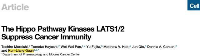教授课题组的一篇题为"the hippo pathway kinases lats1/2 suppress