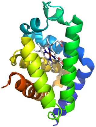 science子刊:重磅!开发出首个有望治疗一氧化碳中毒的蛋白分子