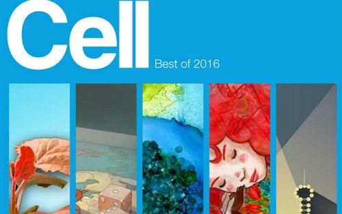 Cell:2016年度最佳文章出炉!
