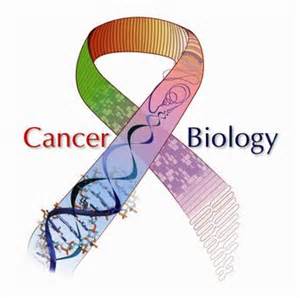 癌症：人工受体帮助标记难以发现的癌细胞，有望开创抗癌新疗法