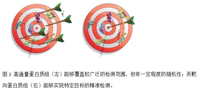 生物样品中蛋白定量的革命性方法靶向蛋白质组技术