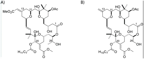 PLoS Pathog：合成分子SUW133有望杀死体内的潜伏性HIV