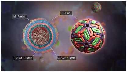 标签:登 生物谷(第7页)