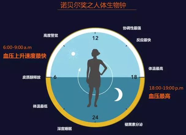 國家十三五課題組發布我國首份《高血壓生物鐘大數據報告》-智醫療網