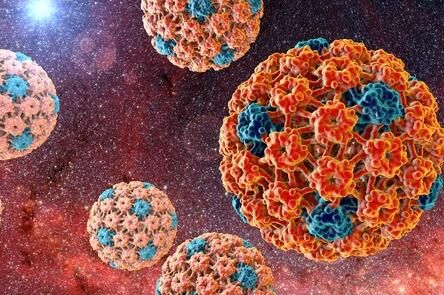 viruses:科学家阐明病毒失活宿主免疫系统进而诱发癌症的分子机制