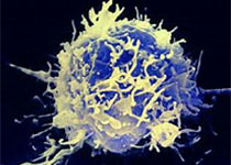 FDA今日批准首个非基因编辑的同种异体CAR-T细胞产品进入临床