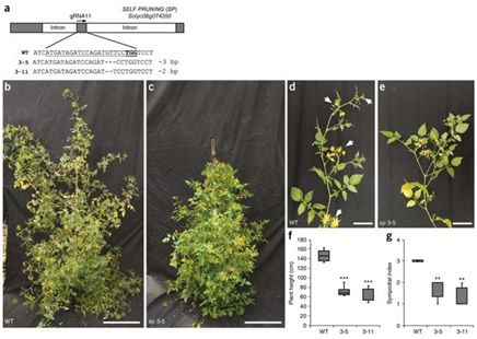 2018年10月CRISPR/Cas最新研究进展