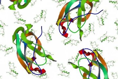 Sci Adv：新型NMR技术能够更加了灵敏地检测生物分子的结构