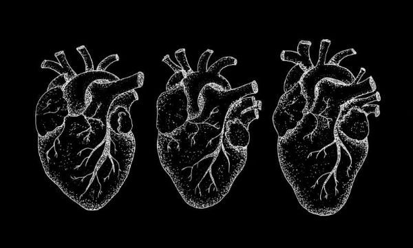 J Bio Chem：心脏中的碳水化合物有助于调节血压