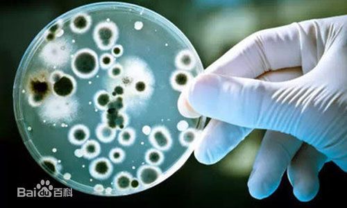 新型抗生素！盐野义新型铁载体头孢菌素cefiderocol获美国FDA咨询委员会推荐批准！