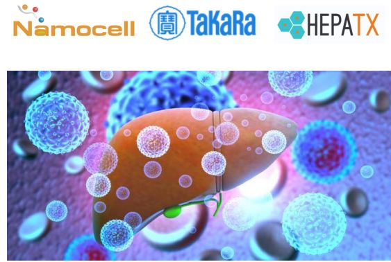 Namocell, Takara Bio, HepaTx合作研发针对晚期肝脏疾病的细胞治疗方案