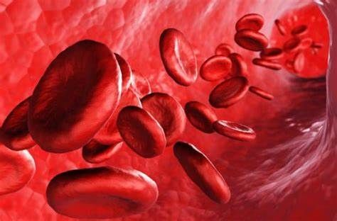 Adv. Biosys：科学家设计“超级”红细胞，可靶向输送药物