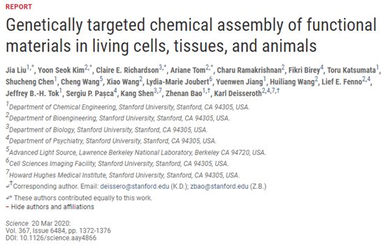 Science：在活细胞、组织和动物中进行功能性材料的基因靶向化学组装
