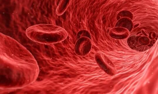 Cell Stem Cell：新型脐带血干细胞移植策略或有望改善血液癌症患者的治疗