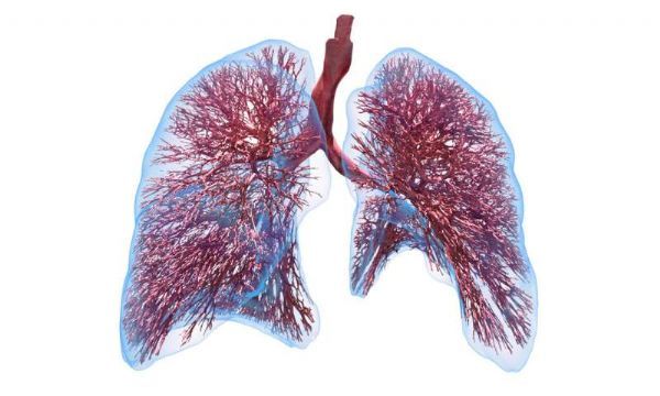新的肺部模型让covid-19患者机械通气更安全!
