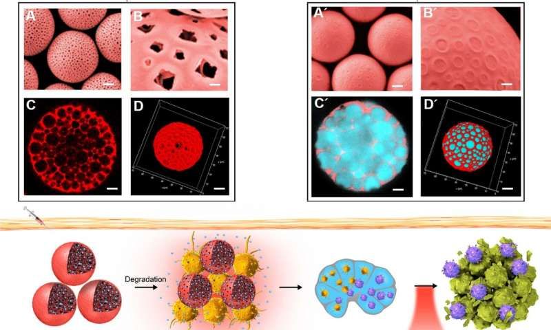 science子刊!中国科学家利用新型微胶囊开发高性能癌症疫苗!