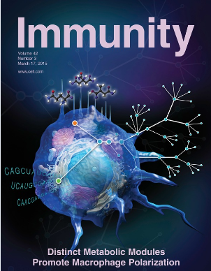 immunity封面文章:代谢网络如何影响巨噬细胞极化