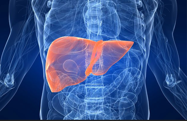 18全国爱肝日—关注肝脏疾病突破性研究进展!